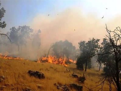 وقوع 240 مورد آتش سوزی در كشور طی 74 روز گذشته