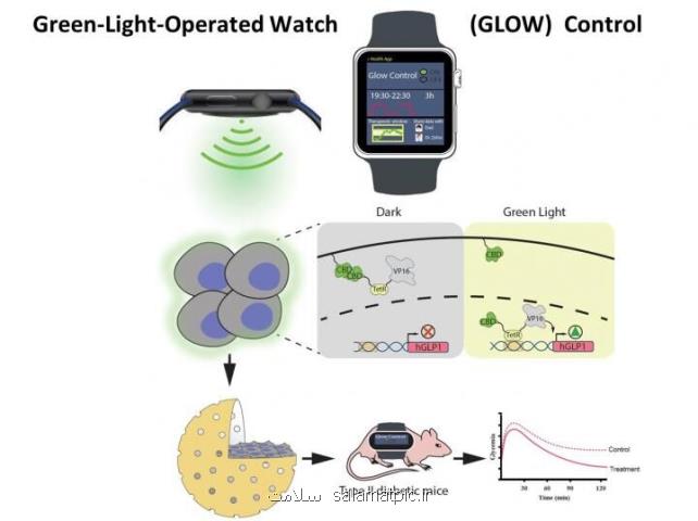 كنترل تولید انسولین با استفاده از نور ال ایی دی ساعت هوشمند