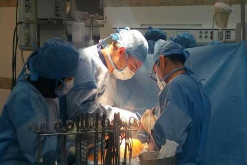 جزییات انتقال هوایی قلب بیمار مرگ مغزی از مشهد به تهران