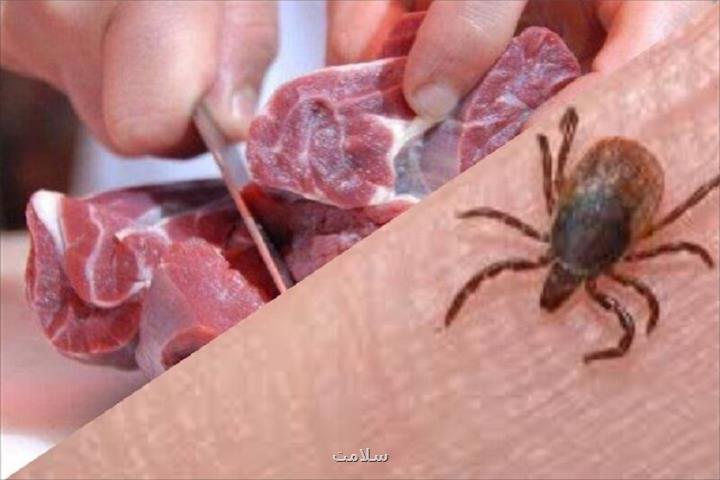 بستری ۲ بیمار مشکوک به تب کریمه کنگو در استان اردبیل