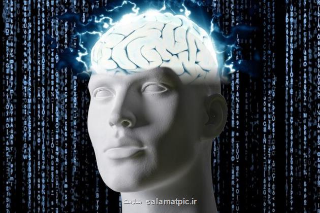 کدام آجیل توانایی مغزی را ارتقا می دهد؟