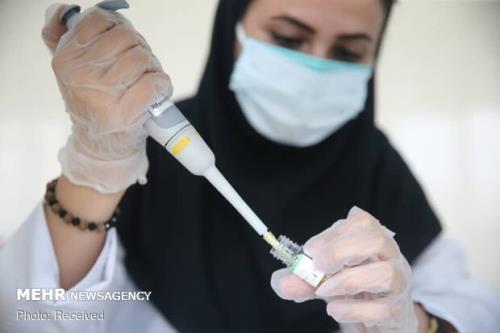ایران در کدام سرطان رتبه اول دنیا را دارد