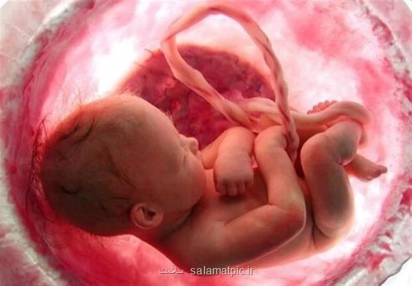 نجات 162 جنین از سقط در یزد
