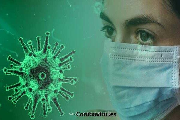 افزایش مبتلا شدن به کرونا در بوشهر ضرورت اجرای دستورالعمل های بهداشتی