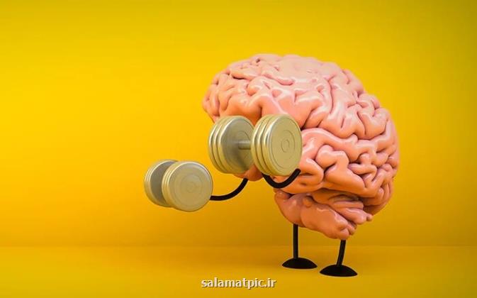 ورزش مغزی را دست کم نگیرید