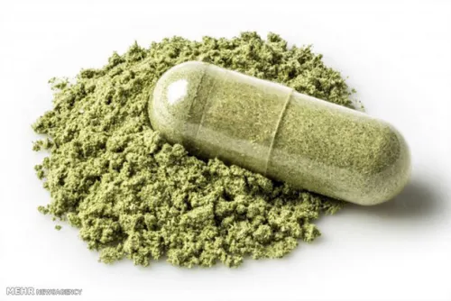 گل خطری فراتر از اعتیاد، بحران امنیتی در خانواده