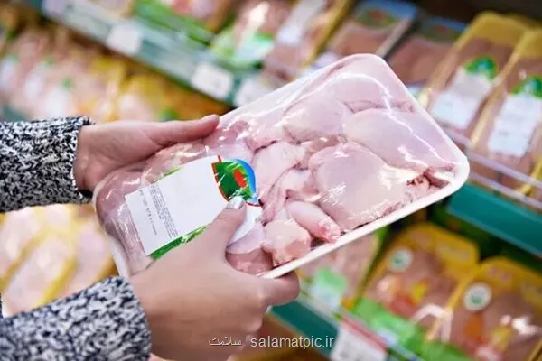 اخطار نسبت به حذف محصولات پروتئینی از سبد خانوار