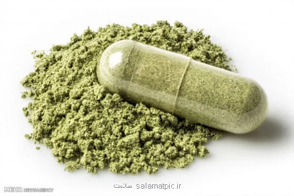 گل خطری فراتر از اعتیاد، بحران امنیتی در خانواده