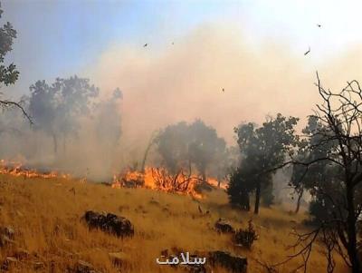 وقوع 240 مورد آتش سوزی در كشور طی 74 روز گذشته