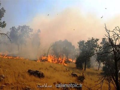 وقوع ۲۴۰ مورد آتش سوزی در كشور طی ۷۴ روز گذشته