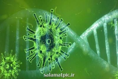 داروی خوراكی مولنوپیراویر روند انتقال كروناویروس را متوقف می كند