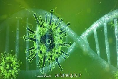 تأثیر داروی سرطان در مقابله با كروناویروس